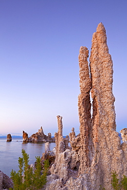 Tufa spires and tower formations of calcium carbonate at sunset, Mono Lake, South Tufa Reserve, Mono Basin Scenic Area, Lee Vining, Inyo National Forest Scenic Area, California, United States of America, North America