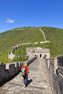 Woman tourist walking on the Great Wall of China, UNESCO World Heritage Site, Mutianyu, Beijing District, China, Asia