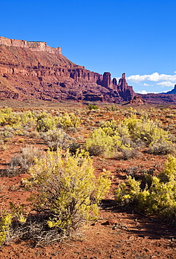 Fisher Towers and sagebrush foreground, near Moab, Utah, United States of America, North America 