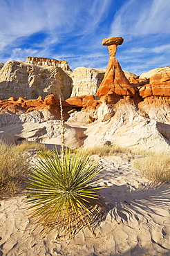 Toadstool Paria Rimrocks with yucca plant, near Kanab, Grand Staircase-Escalante National Monument, Utah, United States of America, North America 