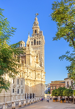 Seville Cathedral of Saint Mary of the See, and La Giralda bell tower, UNESCO World Heritage Site, Seville, Andalusia, Spain, Europe