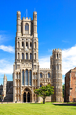 Ely Cathedral (Cathedral Church of the Holy and Undivided Trinity) from Palace Green, Ely, Cambridgeshire, England, United Kingdom, Europe