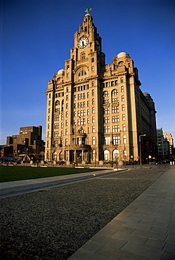 Liver Building, Liverpool, Merseyside, England, United Kingdom, Europe