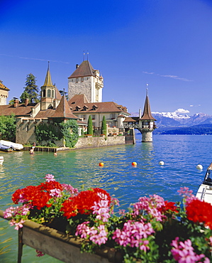 Lake Thun (Thunersee) and Oberhofen Castle, Bernese Oberland, Switzerland, Europe