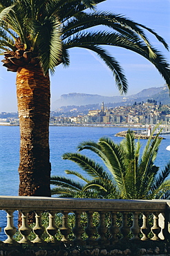 Menton, Alpes Maritimes, Provence, French Riviera, France, Europe