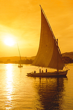 Feluccas under sail at sunset on the Nile river, Egypt 