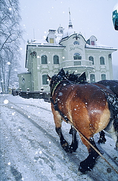 Horse-drawn sleigh in the snow, Schwangau