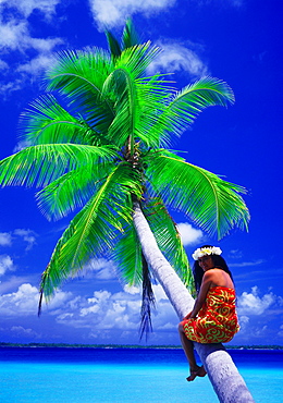 Portrait of woman sitting halfway up a coconut palm, Tuamotus Archipelago, French Polynesia, Pacific Islands