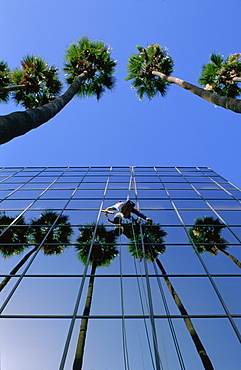 Window cleaner on the outside of glass fronted office block, Los Angeles