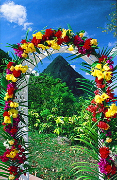 Petit Piton surrounded with flowers, St Lucia