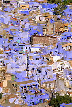 The blue town of Jodhpur, Rajasthan, India, The blue houses are those belonging to the Brahmin caste