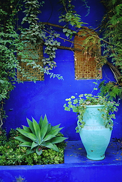 Majorelle Gardens, Marrakesh,  Morocco, North Africa