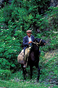 Horseman, Agarcine, Armenia, Asia