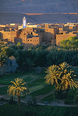 View over the village of Tinghir, Palmeraie de Tinerhir, Dades Valley, Ouarzazate region, Morocco, North Africa, Africa