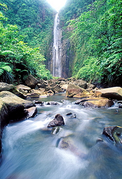 Carbet waterfall, Basse Terre, Guadeloupe, Caribbean, Central America