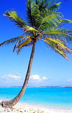 La Feuillere beach, Marie Galante island, Guadeloupe, Caribbean, Central America