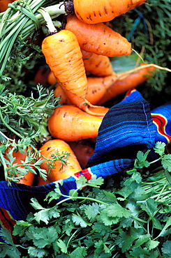 Market, Antigua, Guatemala, Central America