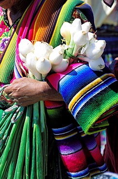 Weekly market, San Francisco El Alto, Guatemala, Central America