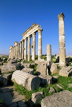 Archaeological site of Apamea, Syria, Middle East