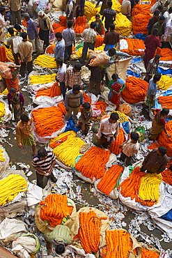 Mullik Ghat flower market, Kolkata (Calcutta), West Bengal, India, Asia 