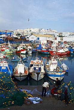 Fishing harbour and the Medina (Old City), Tangier, Morocco, North Africa, Africa