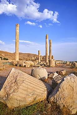 Pillars of the Apadana palace, Persepolis, UNESCO World Heritage Site, Fars Province, Iran, Middle East