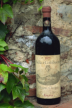 Close-up of a bottle of Badia a Coltibuono wine, Chianti Region, Tuscany, Italy, Europe