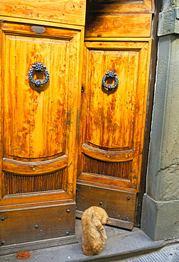 Wooden doors, Radda in Chianti, Siena province, Tuscany, Italy, Europe