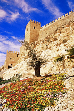 Alcazaba towers and walls, Almeria, Andalucia (Andalusia), Spain, Europe