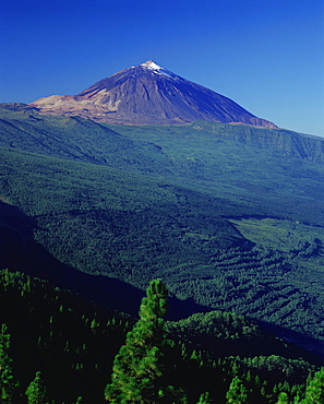 Peak of Mount Teide and pine trees from Mirador Ortuno, Parque Nacional del Teide, Tenerife, Canary Islands, Spain, Europe