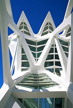 Detail of Principe Felipe Museum of Science, City of Arts and Science, architecture by Santiago Calatrava, Valencia, Spain, Europe