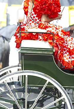 Traditional Spanish dress detail and horse carriage, during celebration of La Feria de Malaga (Malaga Festival), Malaga, Andalucia (Andalusia), Spain, Europe