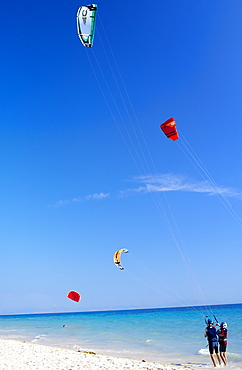 Two kiteboarders trying to take off, Tarifa, Costa de la Luz, Cadiz Province, Andalucia (Andalusia), Spain. Europe