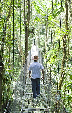 Man walking across hanging bridge in rainforest,, La Fortuna, Arenal, Costa Rica, Central America