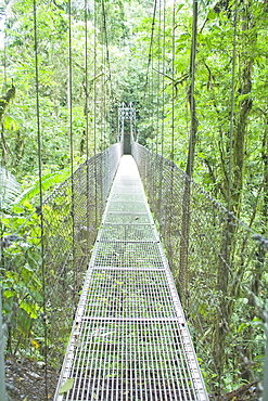 Hanging bridge in rainforest, La Fortuna, Arenal, Costa Rica, Central America