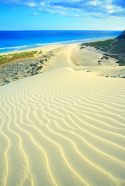 Sandy dunes at Sotovento beach, Jandia Peninsula, Fuerteventura, Canary Islands, Spain, Atlantic, Europe