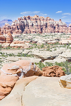 The Needles, Canyonlands National Park, Utah, United States of America, North America