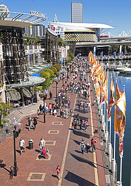 Darling Harbour, Sydney, New South Wales, Australia, Pacific 