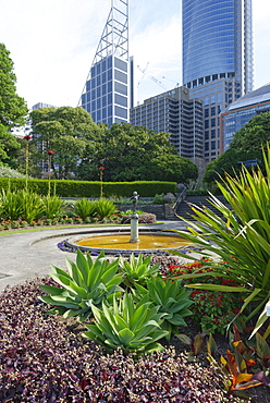 Royal Botanic Gardens, Sydney, New South Wales, Australia, Pacific 