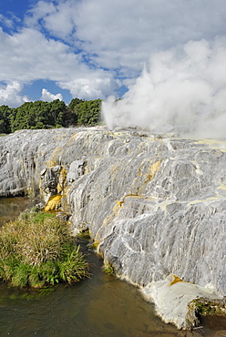 Pohutu Geyser and Prince of Wales Geyser, Rotorua, North Island, New Zealand, Pacific