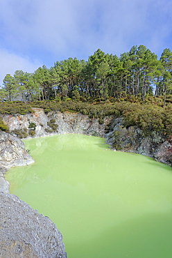 Devil's Bath, Waiotapu Thermal Area, Rotorua, North Island, New Zealand, Pacific