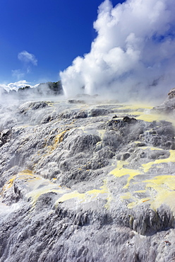 Pohutu Geyser and Prince of Wales Geyser, Rotorua, North Island, New Zealand, Pacific