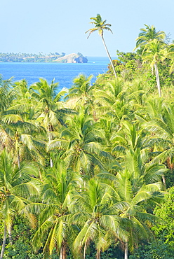 Nanuya Lailai Island, Yasawa island group, Fiji, South Pacific islands, Pacific