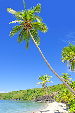 Tropical beach, Drawaqa Island, Yasawa island group, Fiji, South Pacific islands, Pacific