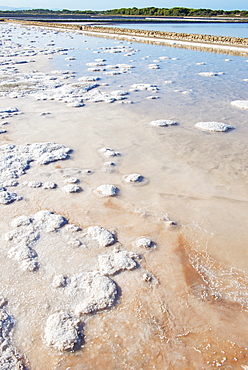 Salt lake, Formentera, Balearic Islands, Spain, Mediterranean, Europe 