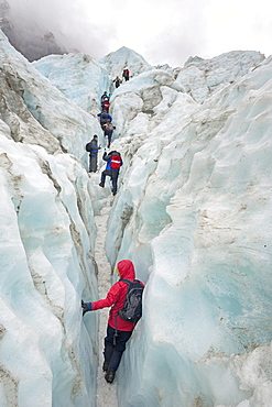 Mountaineers on glacier, Fox Glacier, South Island, New Zealand, Pacific