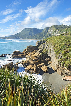 Coastline, Punakaiki, Paparoa National Park, West Coast, South Island, New Zealand, Pacific