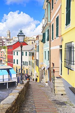 Footpath in the picturesque village of Bogliasco, Bogliasco, Liguria, Italy, Europe