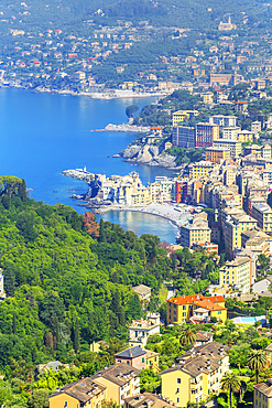 Elevated view of Camogli and Gulf of Paradise, Camogli, Riviera di Levante, Liguria, Italy, Europe