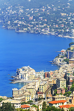 Elevated view of Camogli and Gulf of Paradise, Camogli, Riviera di Levante, Liguria, Italy, Europe